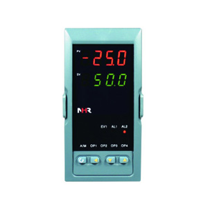 NHR-1300 PID控制仪 香港虹润