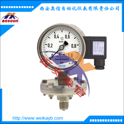WIKA压力表 不锈钢压力表PGT43HP  德国wika