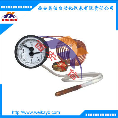 MFT温度计带毛细管 德国wika 机械温度测量仪表