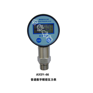 电池供电数字压力表AXSY66 数字精密压力表AXSY-66 精密数字压力